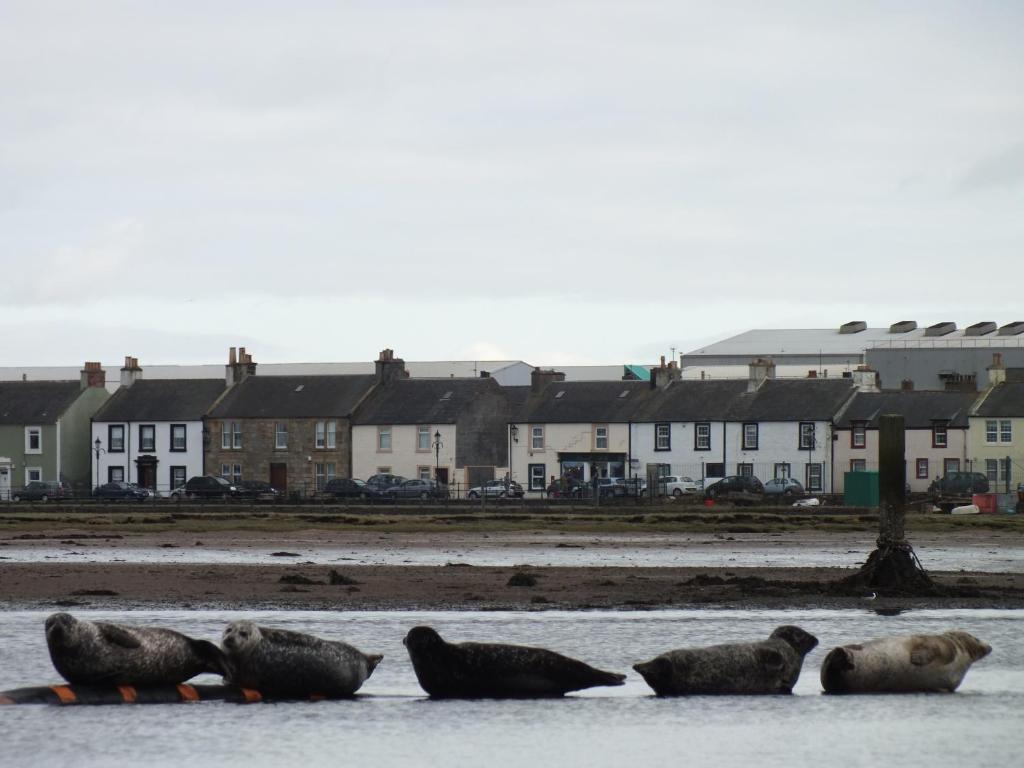 St Andrews Guest House Irvine  Zewnętrze zdjęcie